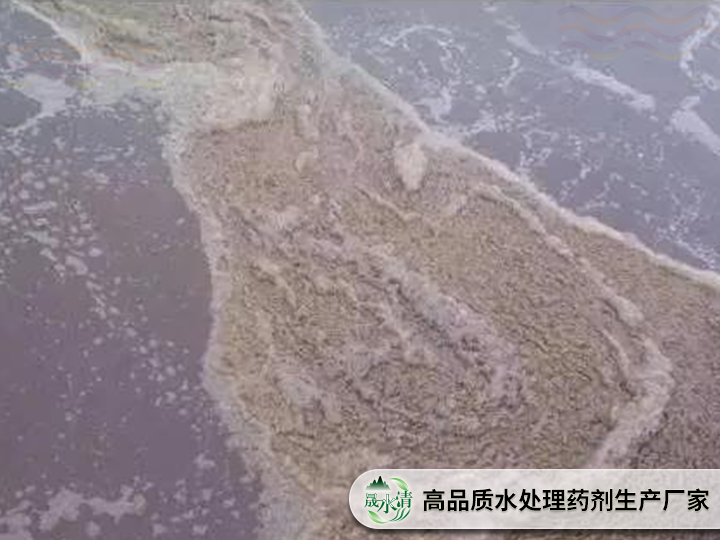 一文读懂二沉池浮泥：四大成因识别、应急操作与根本解决方案